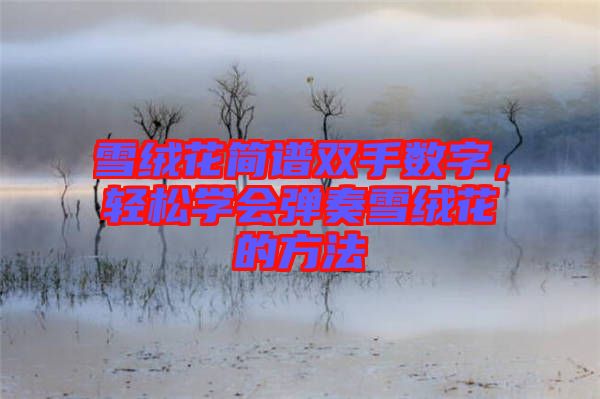雪絨花簡譜雙手?jǐn)?shù)字，輕松學(xué)會彈奏雪絨花的方法