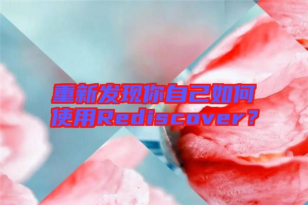 重新發(fā)現(xiàn)你自己如何使用Rediscover？