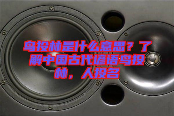 鳥投林是什么意思？了解中國古代諺語鳥投林，人投名