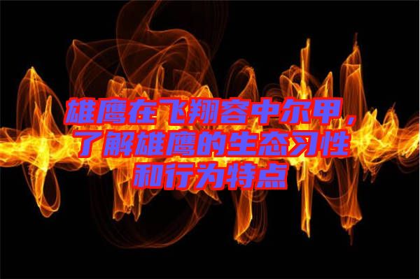 雄鷹在飛翔容中爾甲，了解雄鷹的生態(tài)習(xí)性和行為特點(diǎn)