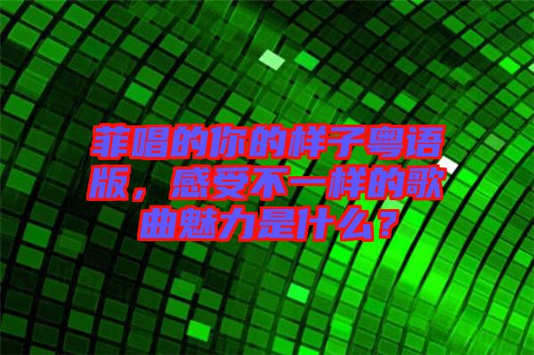菲唱的你的樣子粵語(yǔ)版，感受不一樣的歌曲魅力是什么？