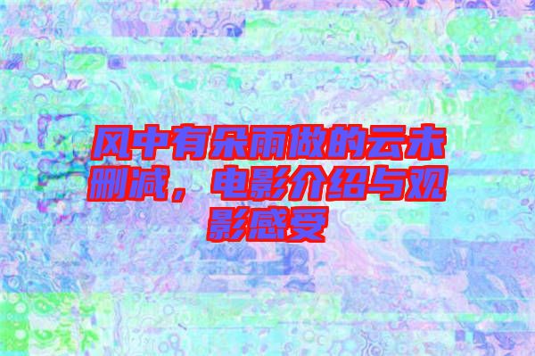 風中有朵雨做的云未刪減，電影介紹與觀影感受