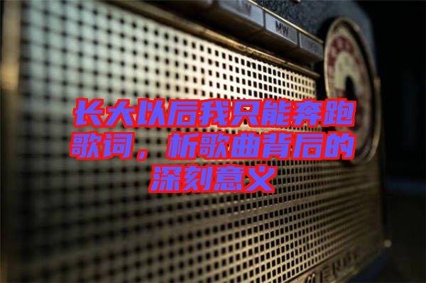 長大以后我只能奔跑歌詞，析歌曲背后的深刻意義