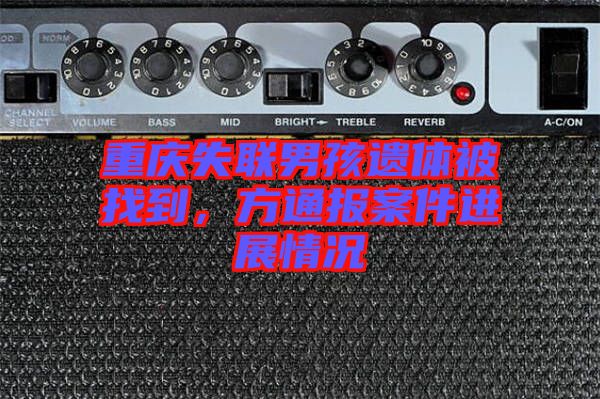 重慶失聯(lián)男孩遺體被找到，方通報案件進展情況