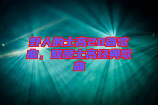 野人的士高20首歌曲，回顧士高經(jīng)典歌曲